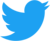 Logotipo do Twitter com um link para a página da Plural